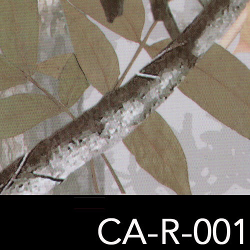 CA-R-001